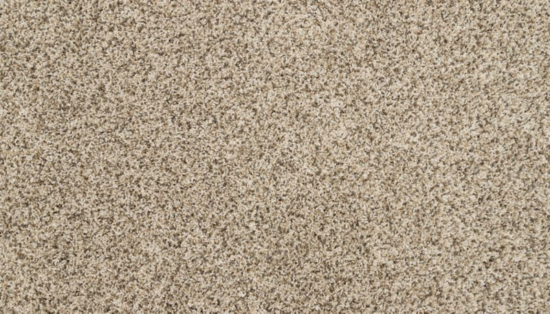 Mohawk Flooring Raise The Woof I