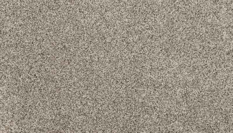 Mohawk Flooring Raise The Woof I