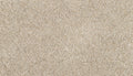 Mohawk Flooring Purrsonality I