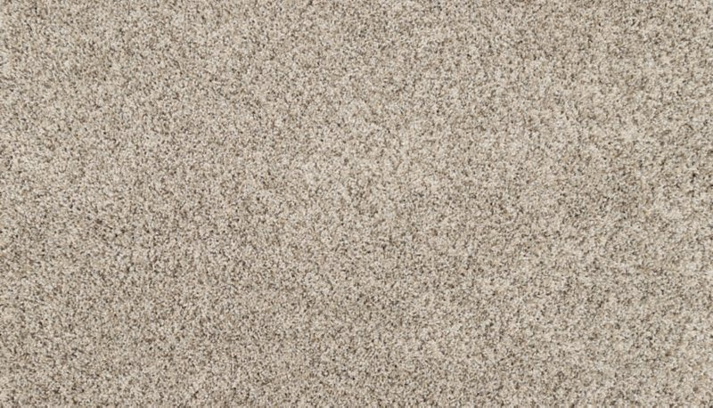 Mohawk Flooring Purrsonality I