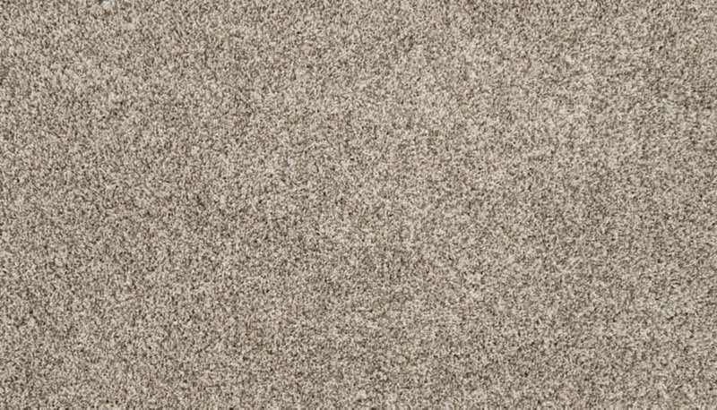 Mohawk Flooring Purrsonality II