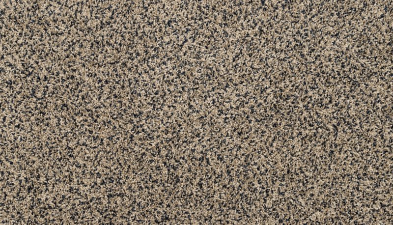 Mohawk Flooring Purrsonality III
