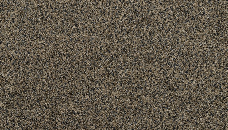 Mohawk Flooring Purrsonality III