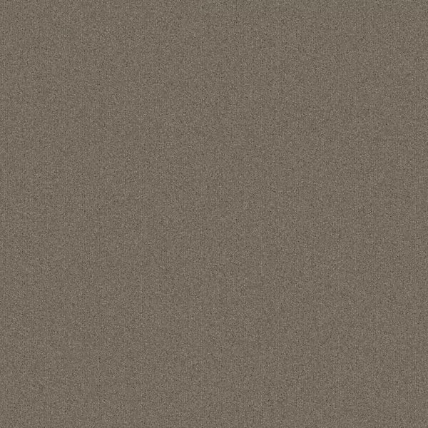 Stoney Color Swatch