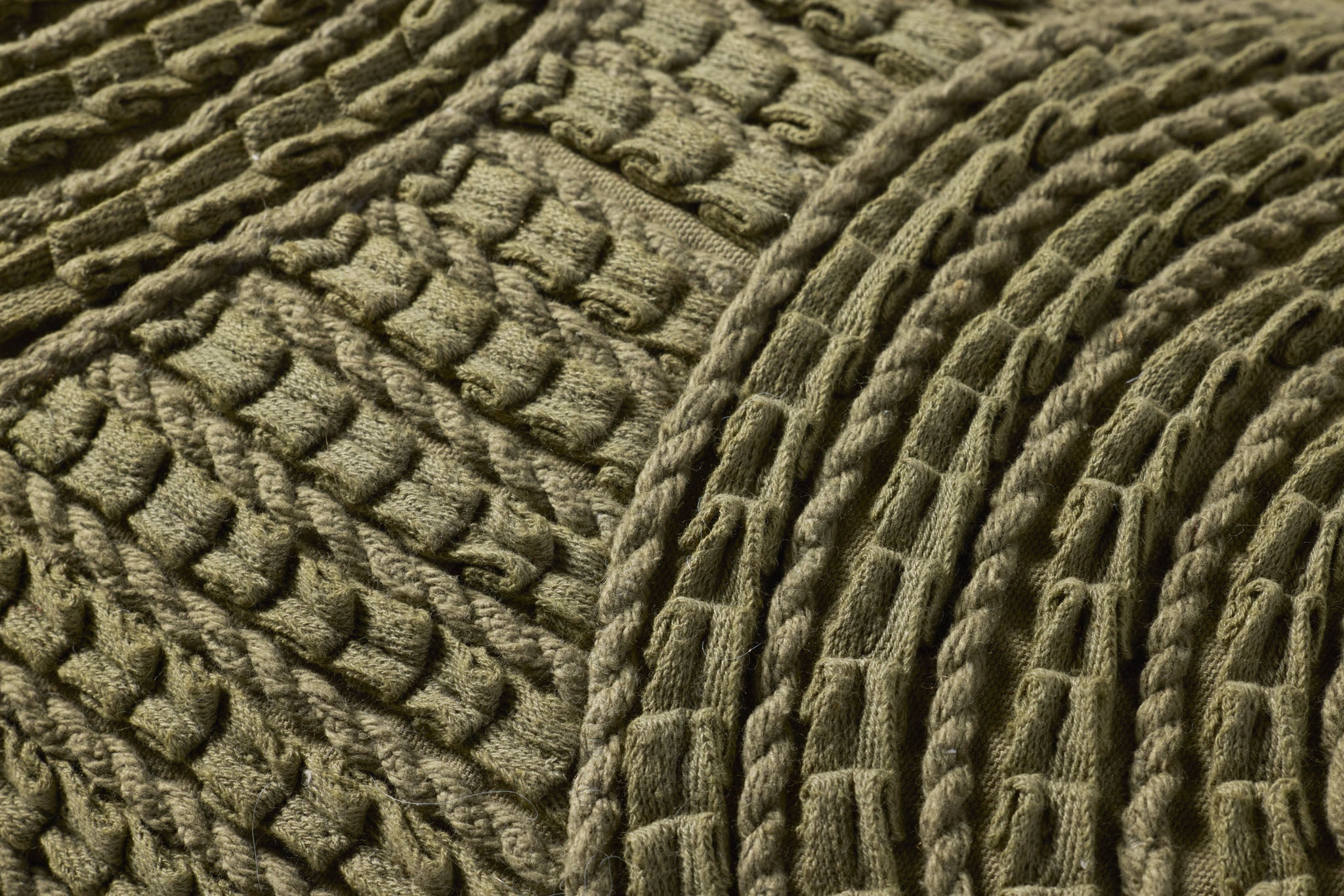 PLL0173 MOSS