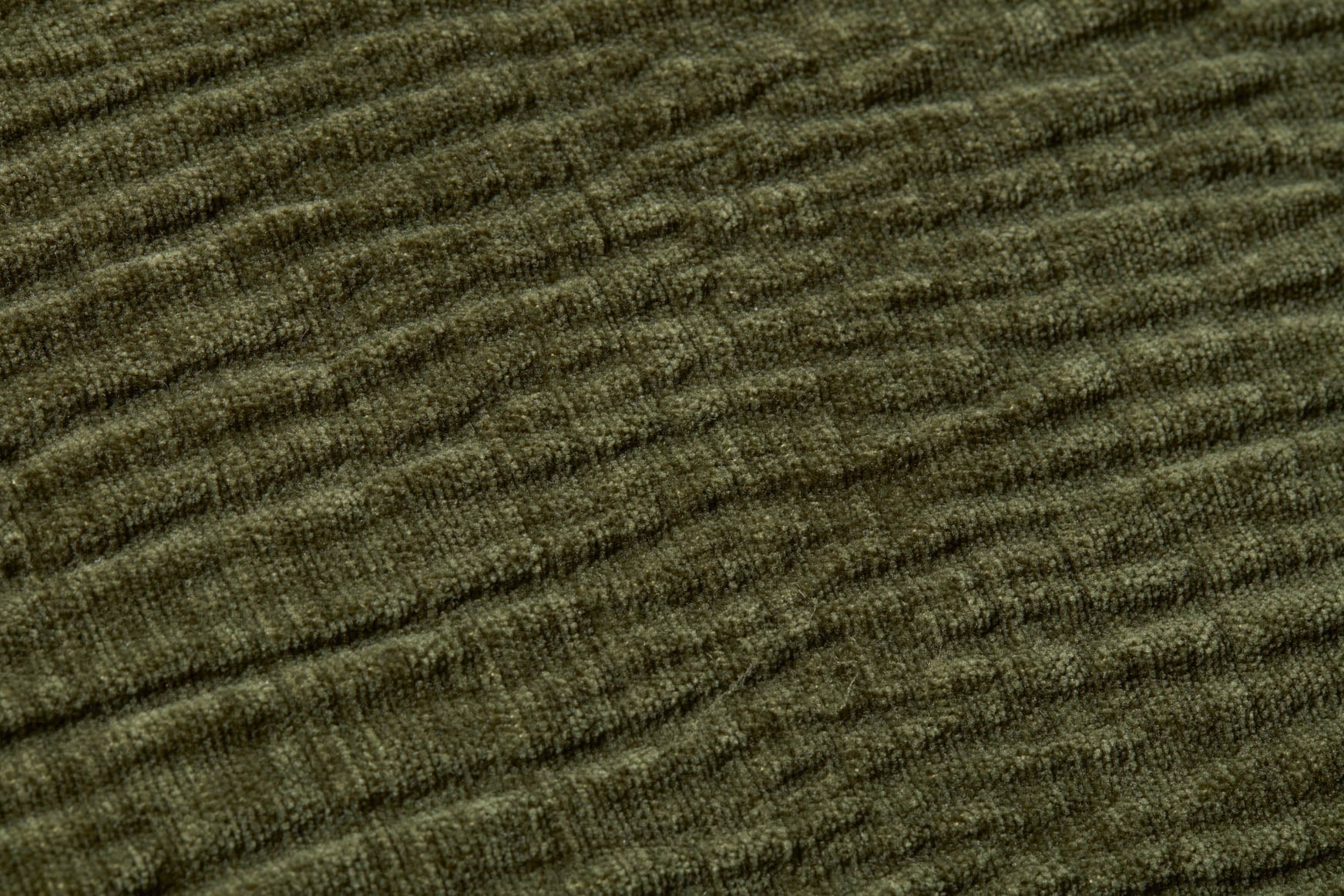 PLL0097 OLIVE