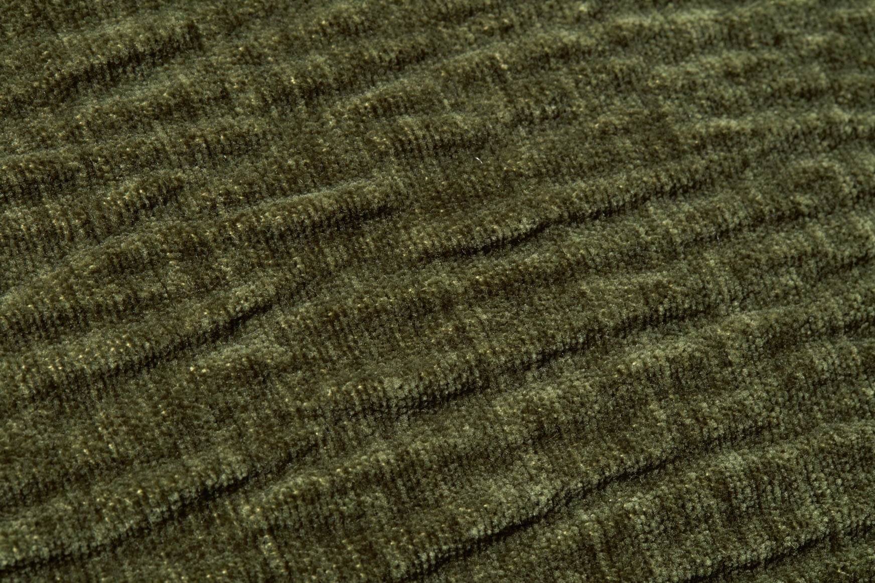 PLL0097 OLIVE