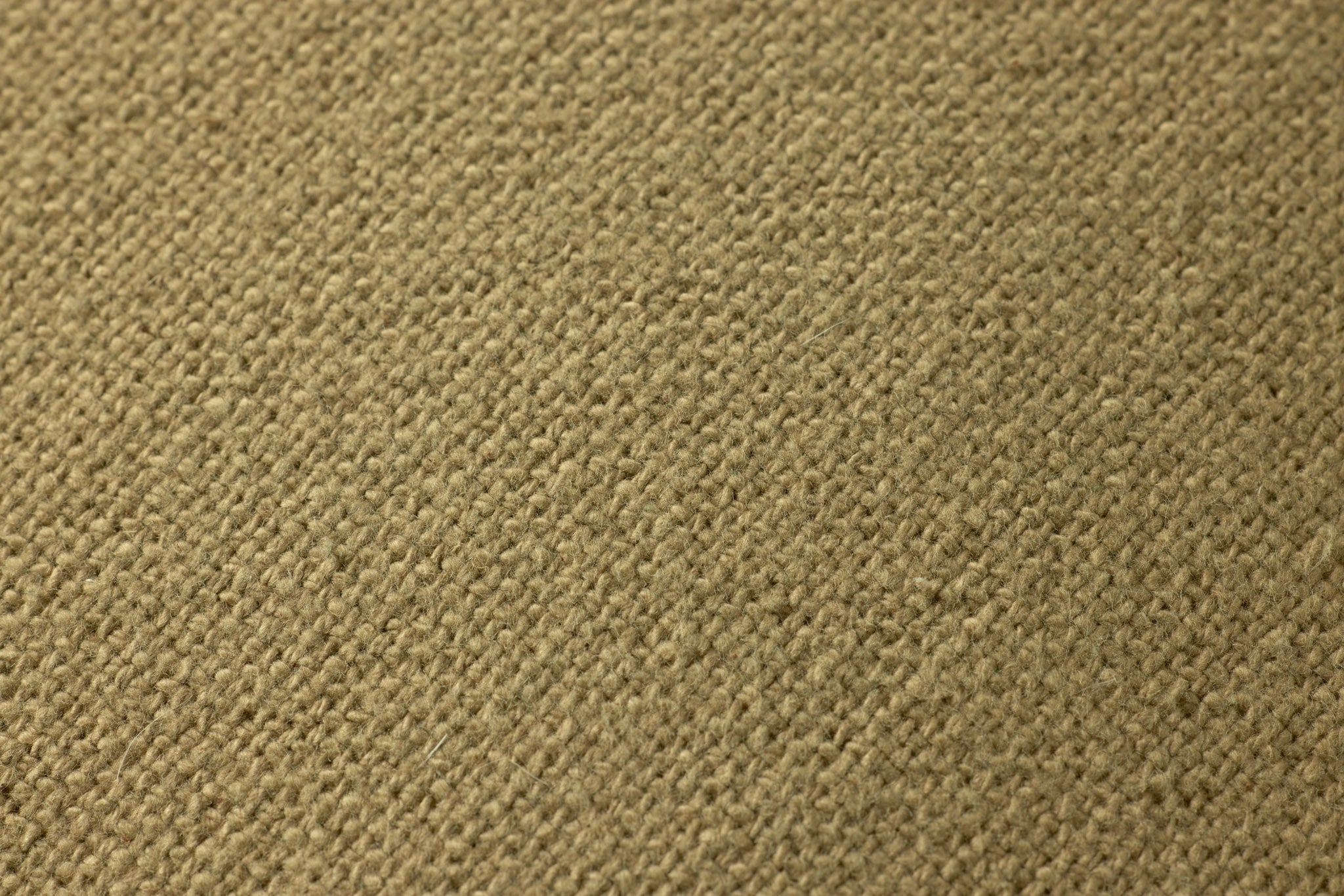 PLF0003 CAPTAIN OLIVE