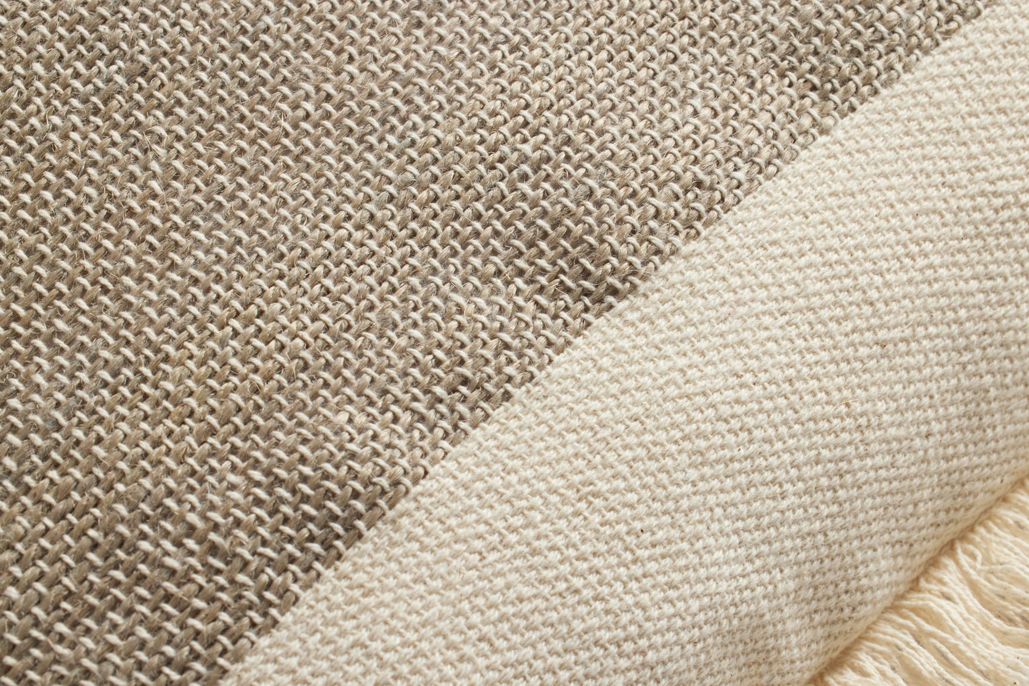 SERAPHINA PAL0037 IVORY / EARTH