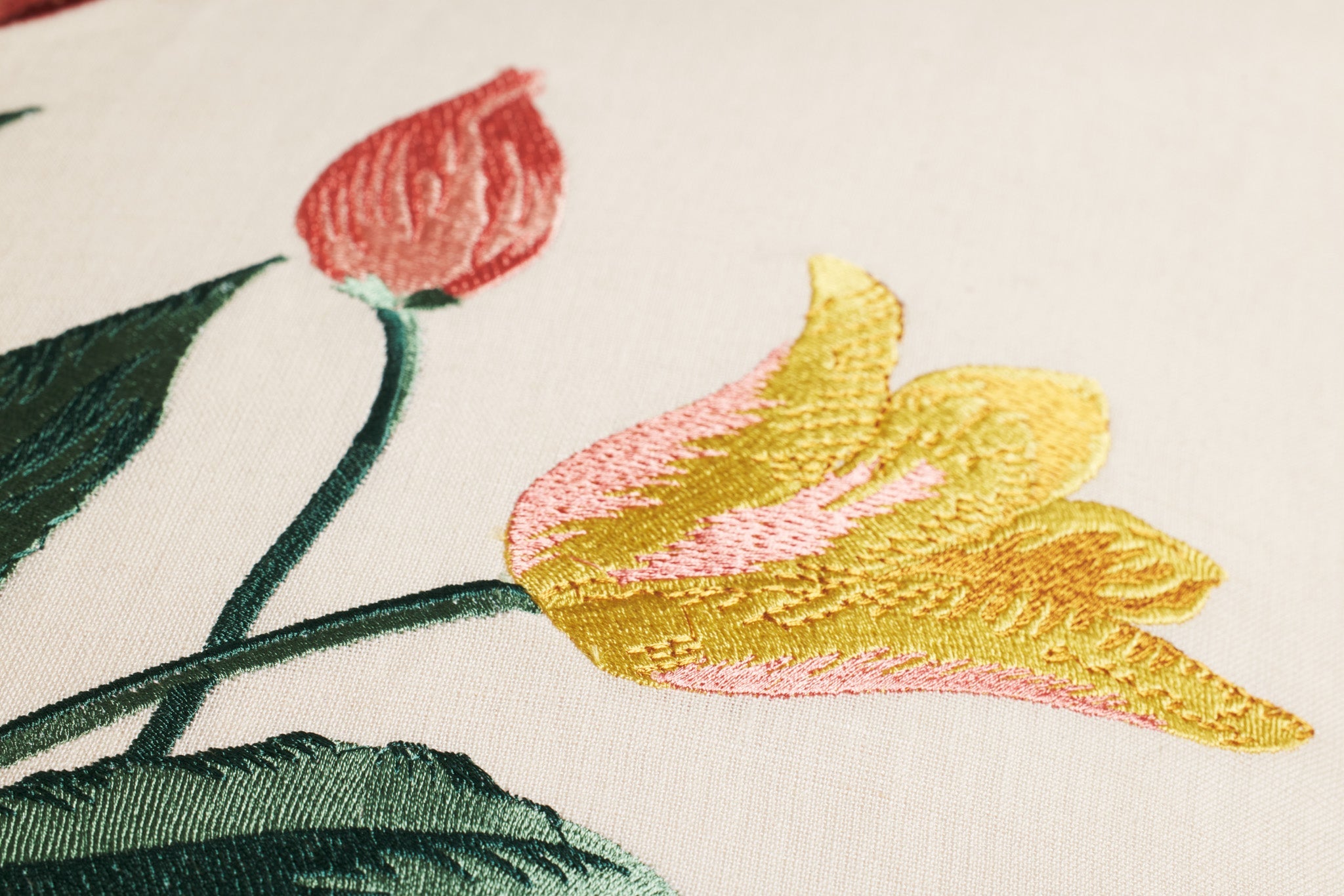TULIPS PRP0059 MULTI