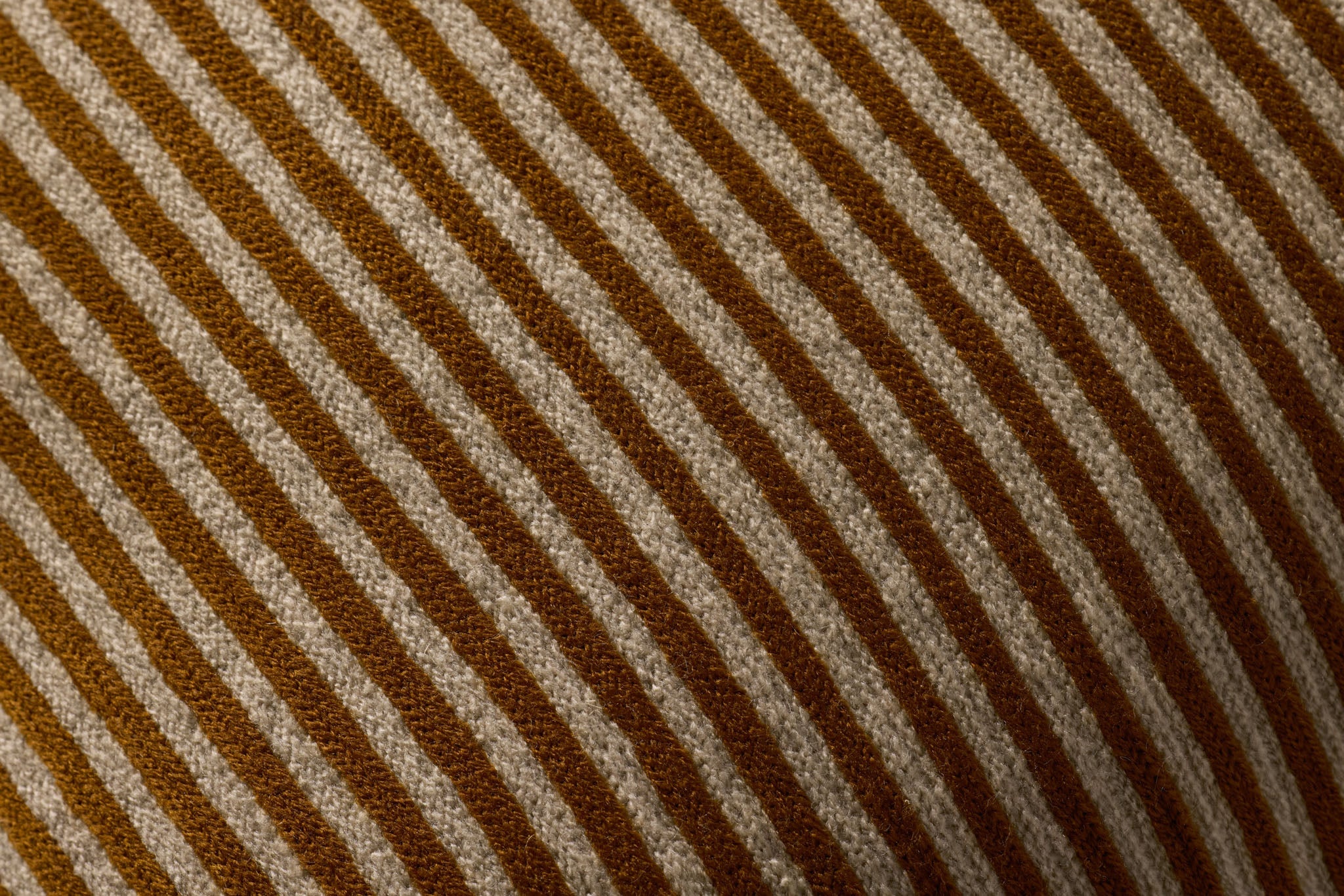 PLL0159 MUSTARD