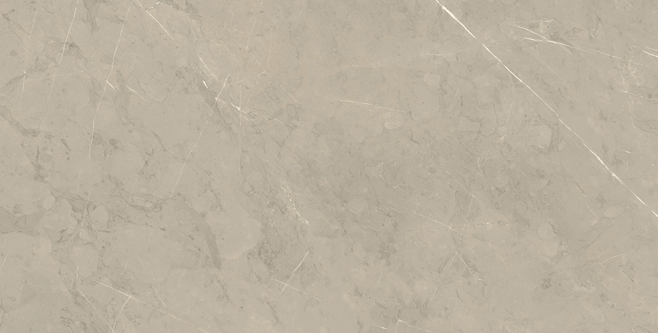 Roca Tile - Piasentina Silver Up 12 x 24 R Tile