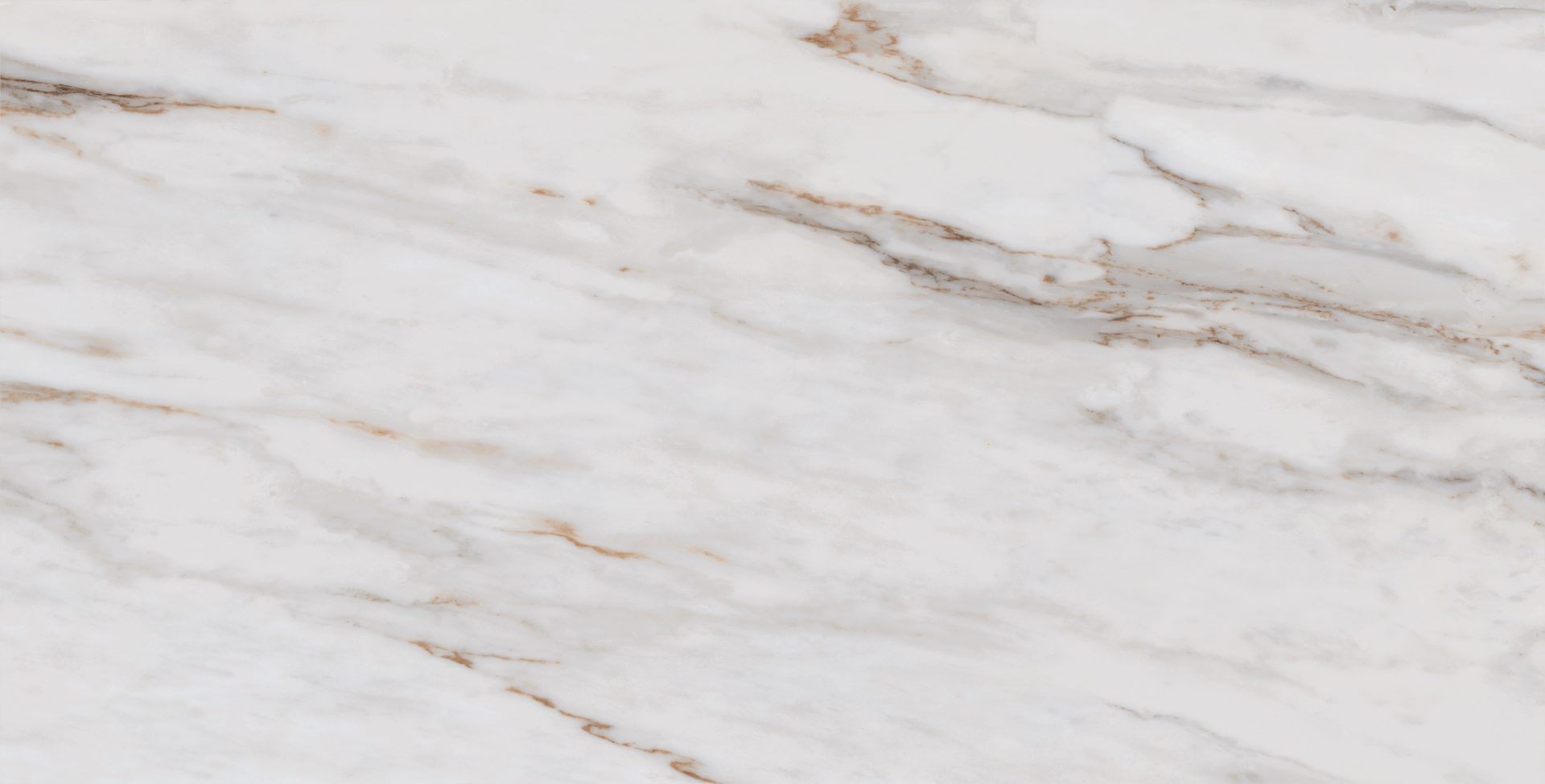Roca Tile - Calacata Gold Up 24 Inch X 48 Inch R
