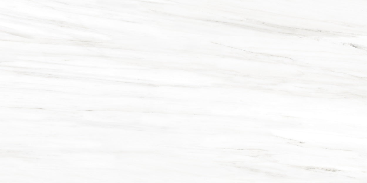 Roca Tile - Lassa White Up 12 Inch X 24 Inch