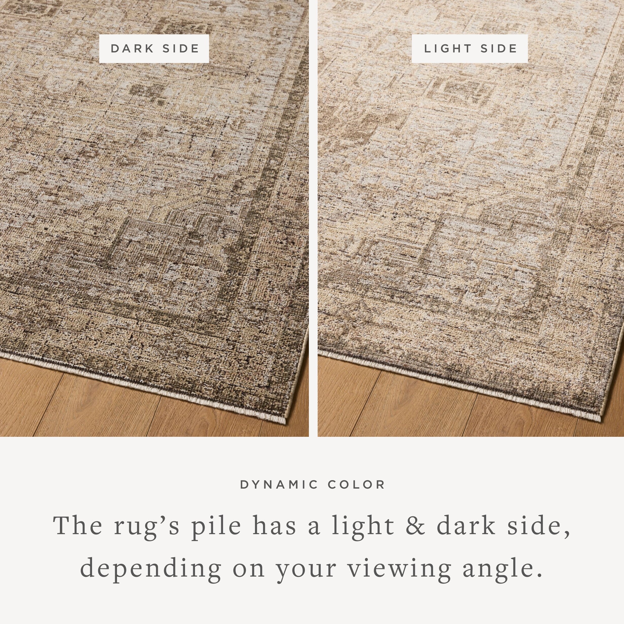 PRL-07 BEIGE / EARTH