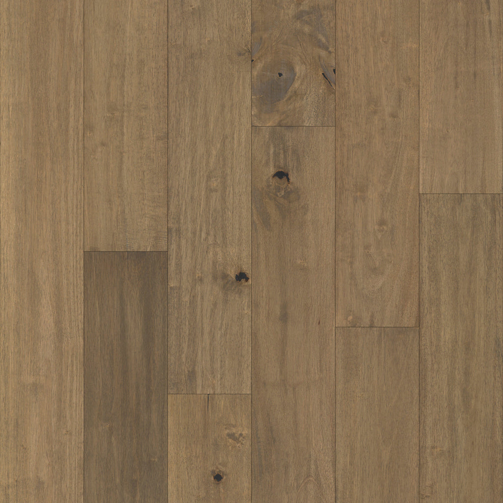 Pacific Pecan in Hamby Pecan