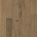Pacific Pecan in Hamby Pecan
