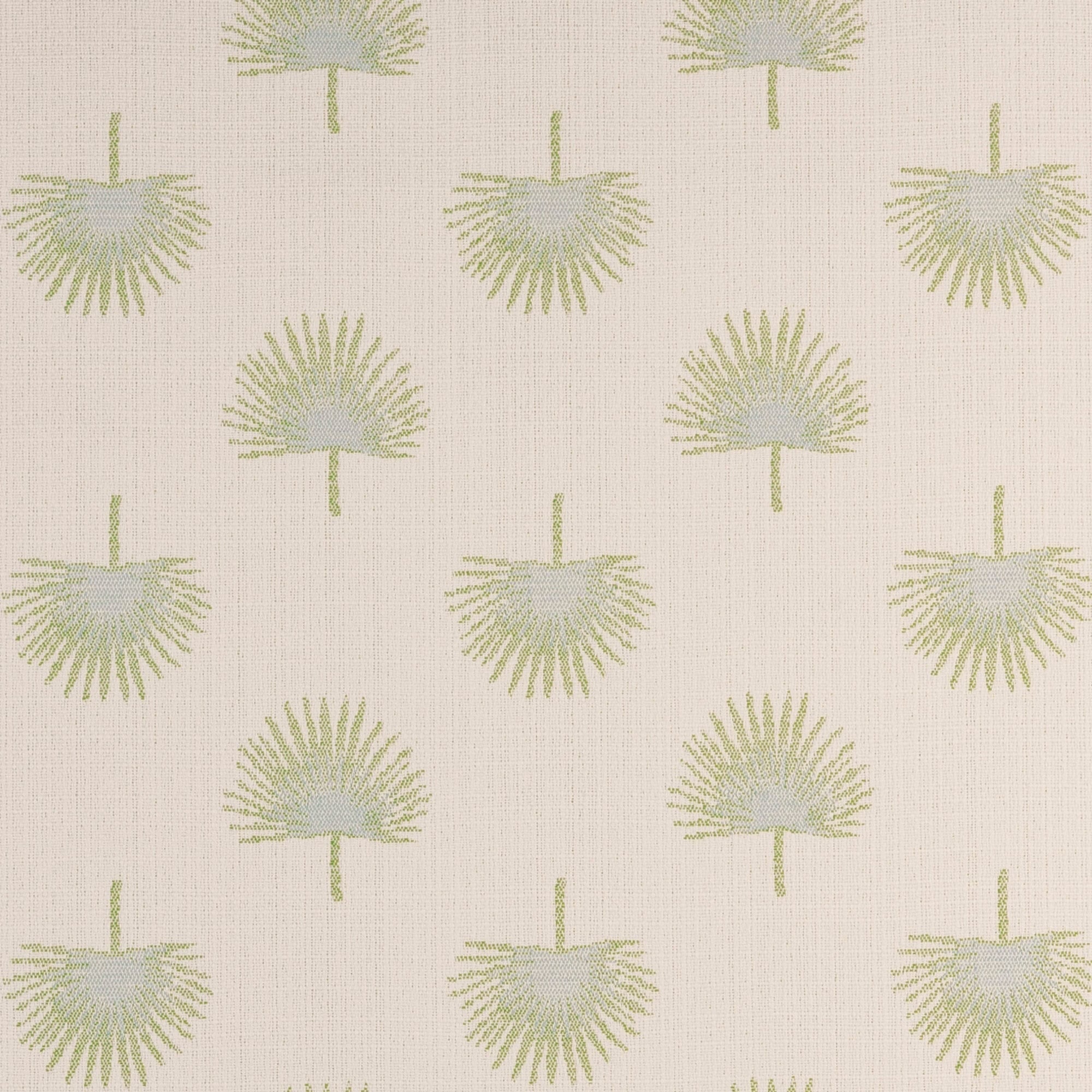 Palmetto Leaf Palm