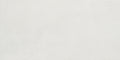 Roca Tile - Pro Po 12 x 24 R Tile