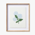 HYDRANGEA CREAM