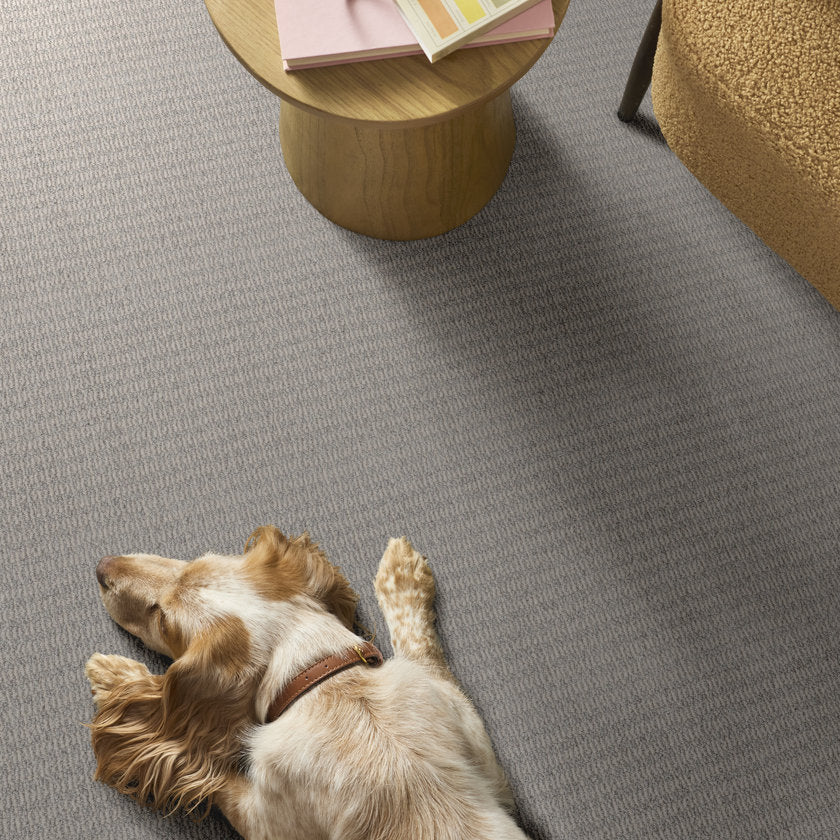 CHIC ELEVATION SENTIMENTAL - Carpet
