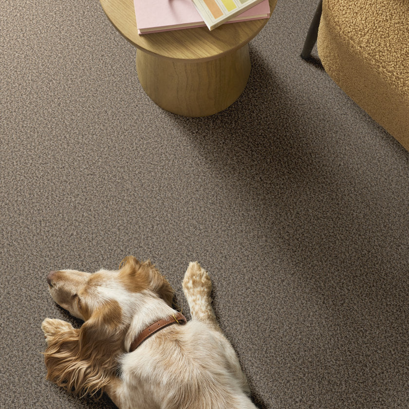 YES YOU CAN I 12' SEA SHELL - Carpet