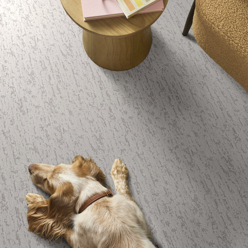 CALM EXPRESSION MORNING MIST - Carpet