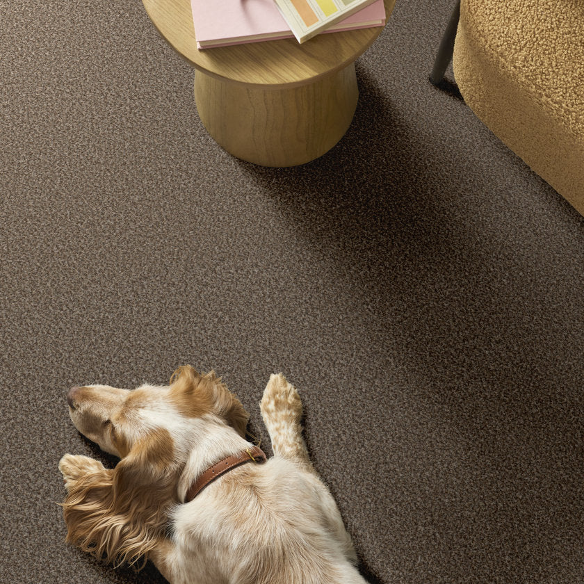 Renewed Energy I FRECKLES ROOM