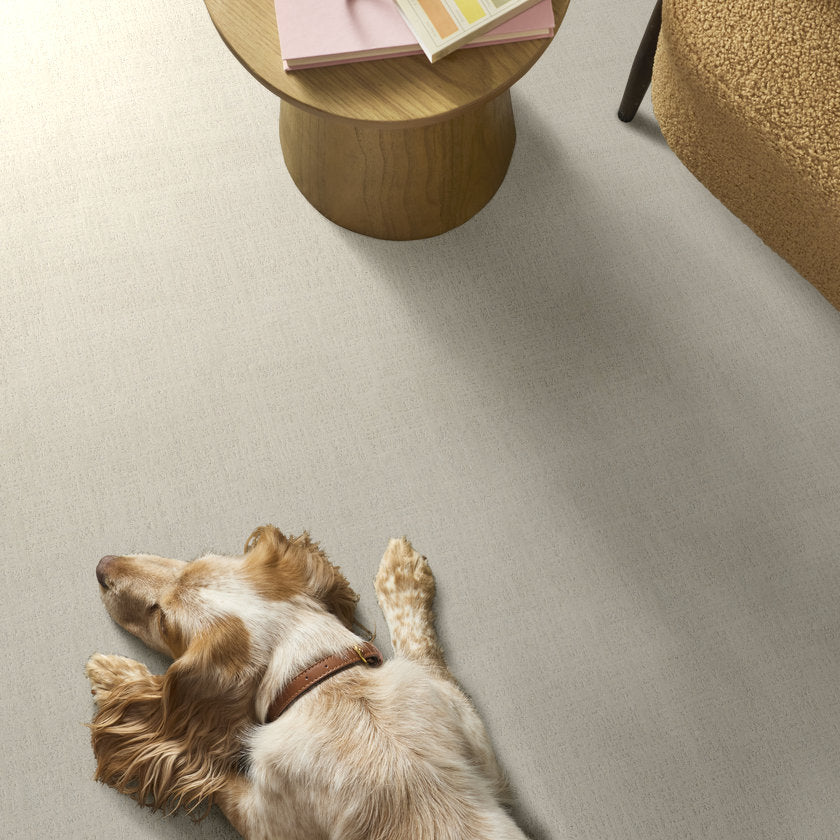 NATURAL INSTINCT IVORY - Carpet