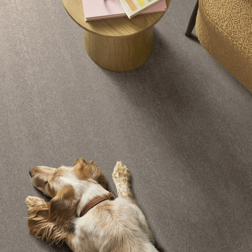 BLENDED TOUCH II PEBBLE STONE ROOM