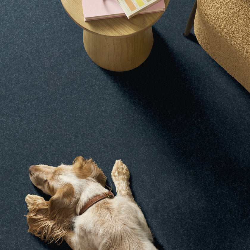 HARD AT PLAY I 15' REFINED ROOM