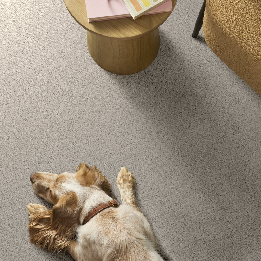 Intricate Trace ALMOND SILK - Carpet