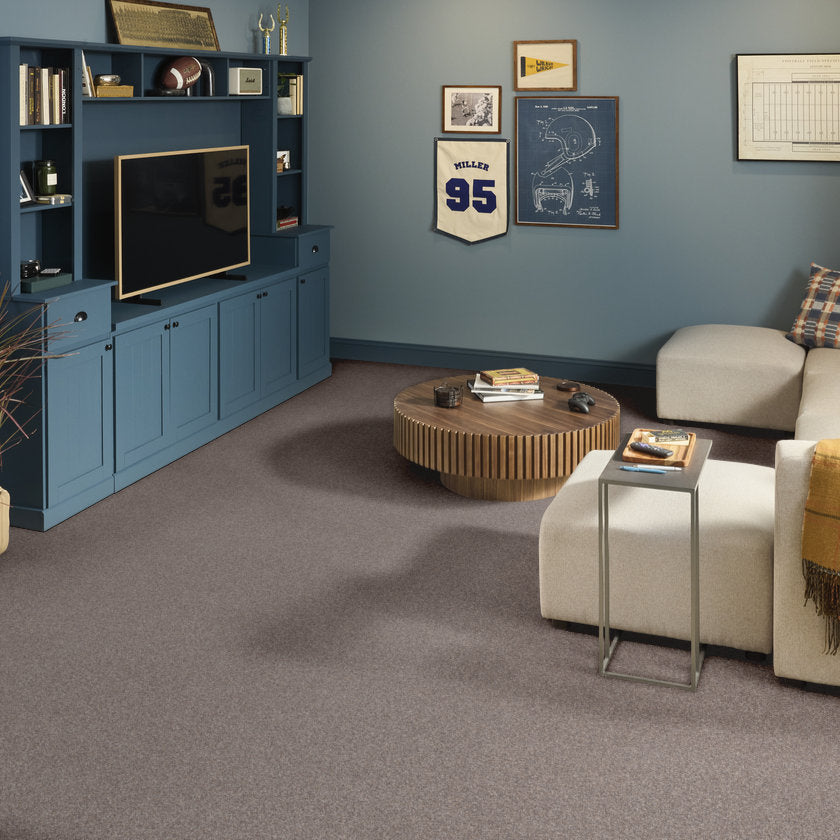 TruSplendor STAINLESS - Carpet