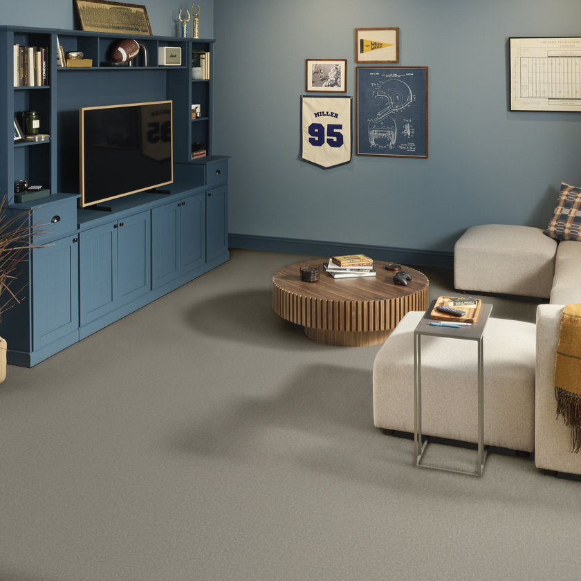 EVERYDAY COMFORT (S) ANTIQUE PEWTER ROOM