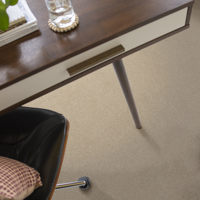 NEW MEMORIES T DUNE VIEW - room - Carpet