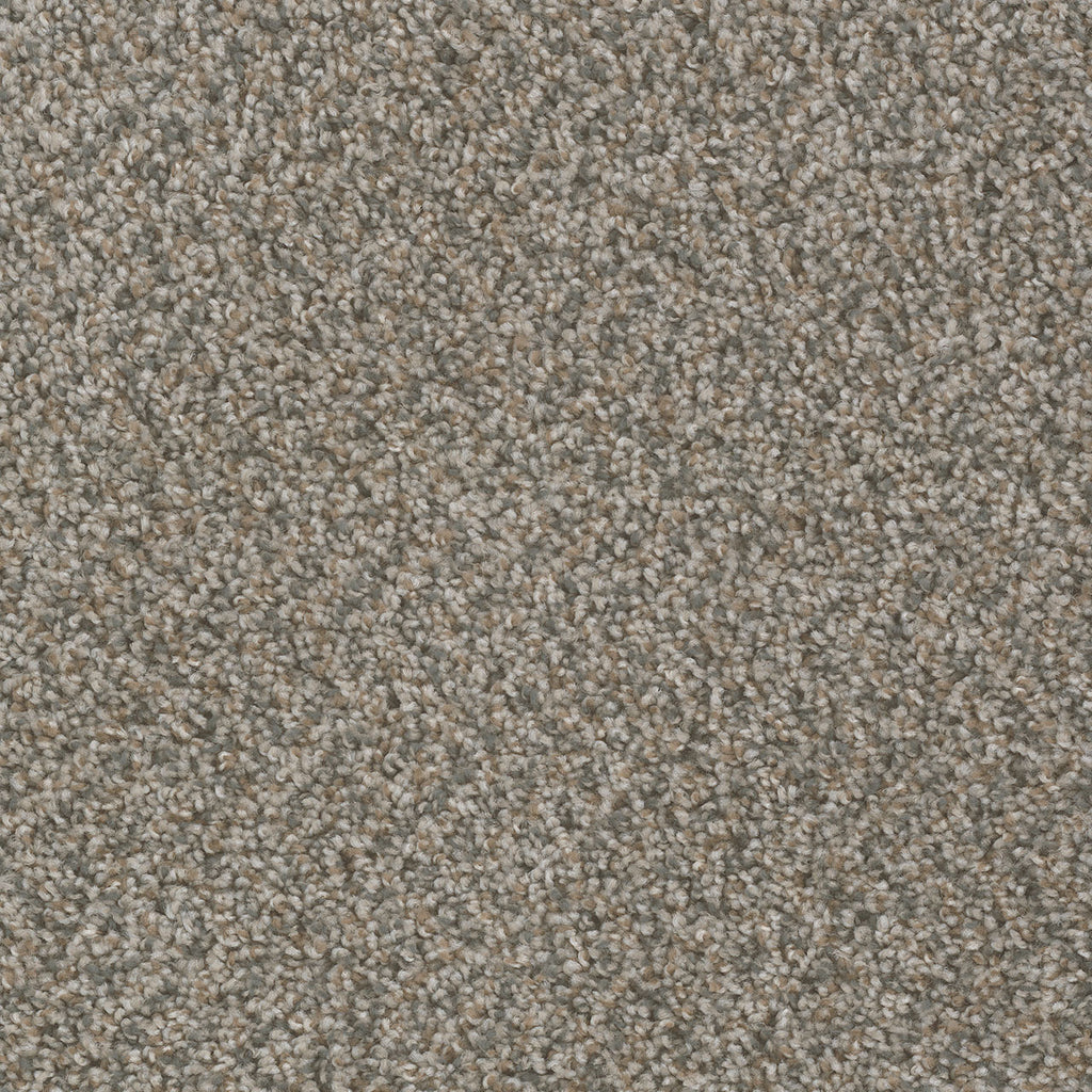 SP250 - Shoreline