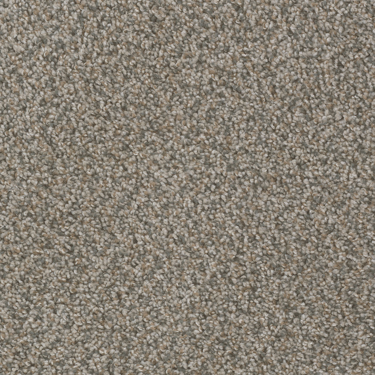 SP250 - Shoreline