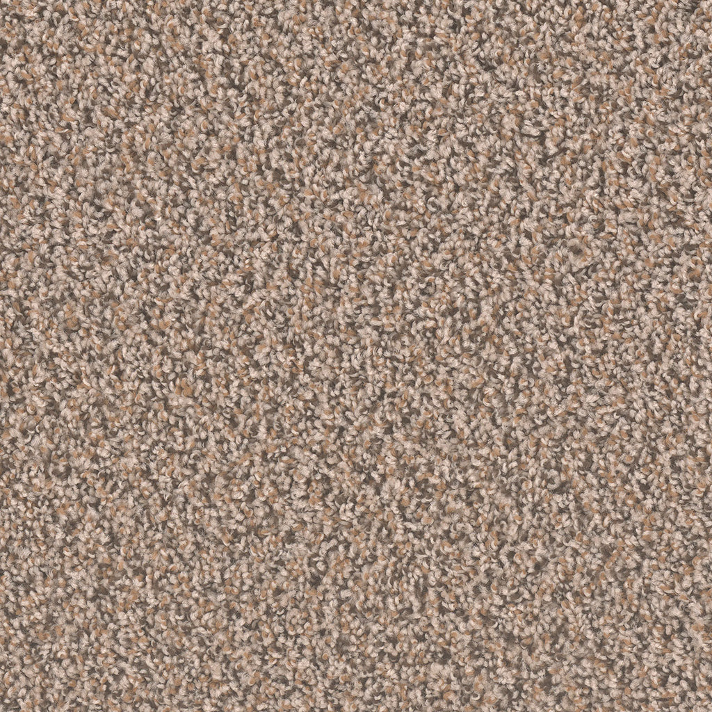 SP250 - Gingerbread