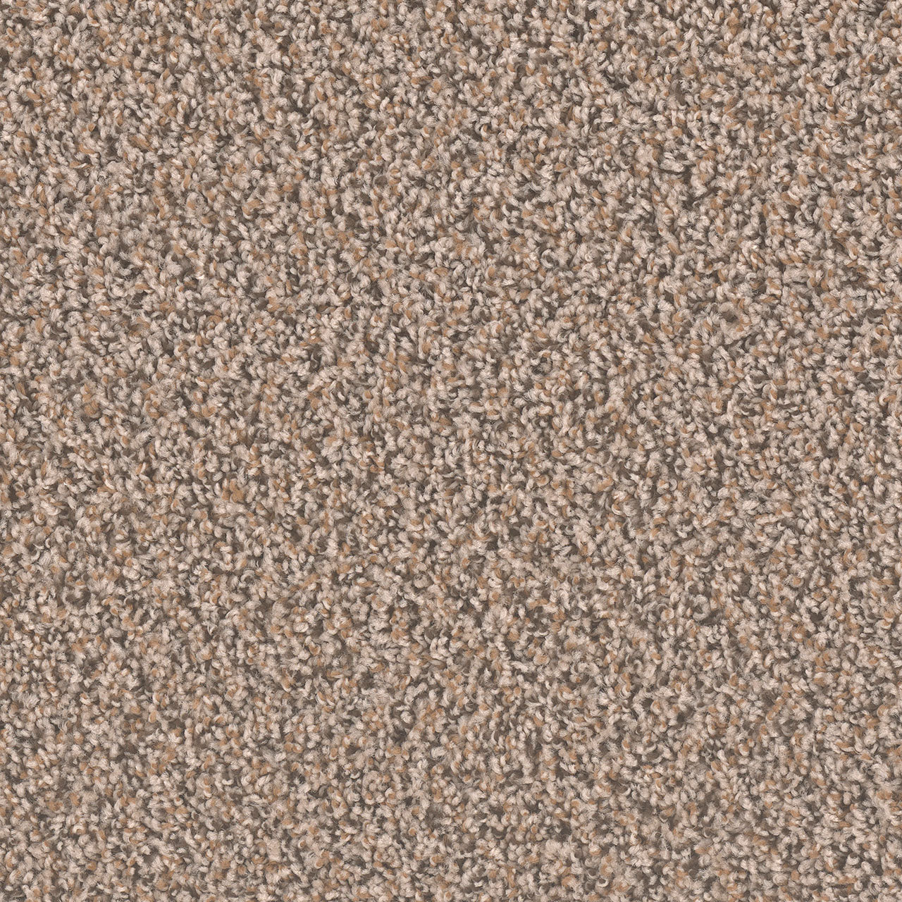 SP250 - Gingerbread