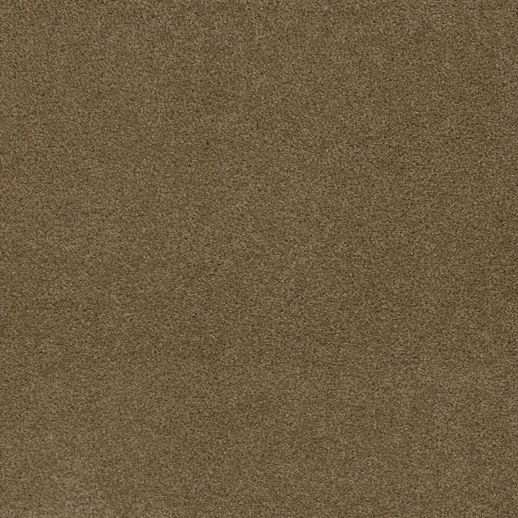 SP250 - Honey Beige