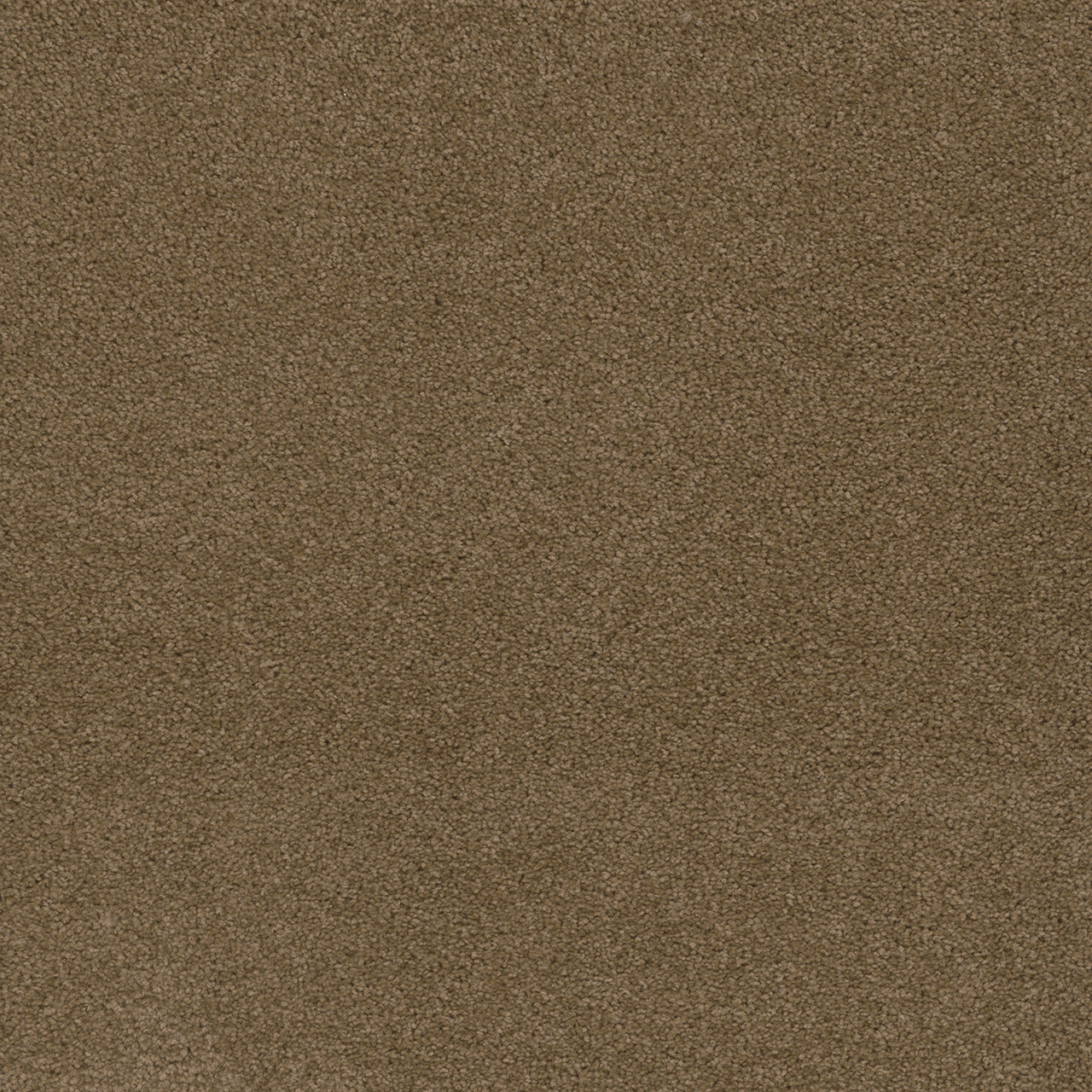 SP250 - Honey Beige