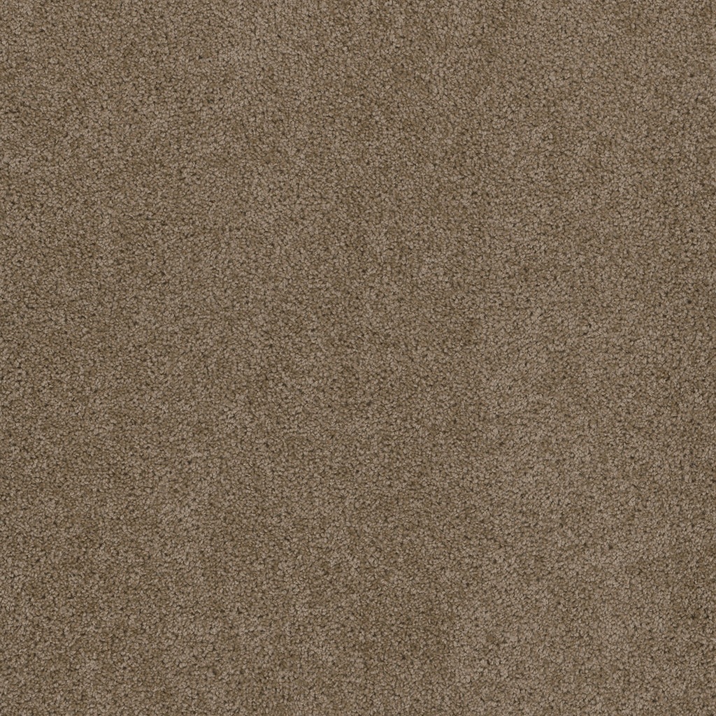 SP250 - Doeskin