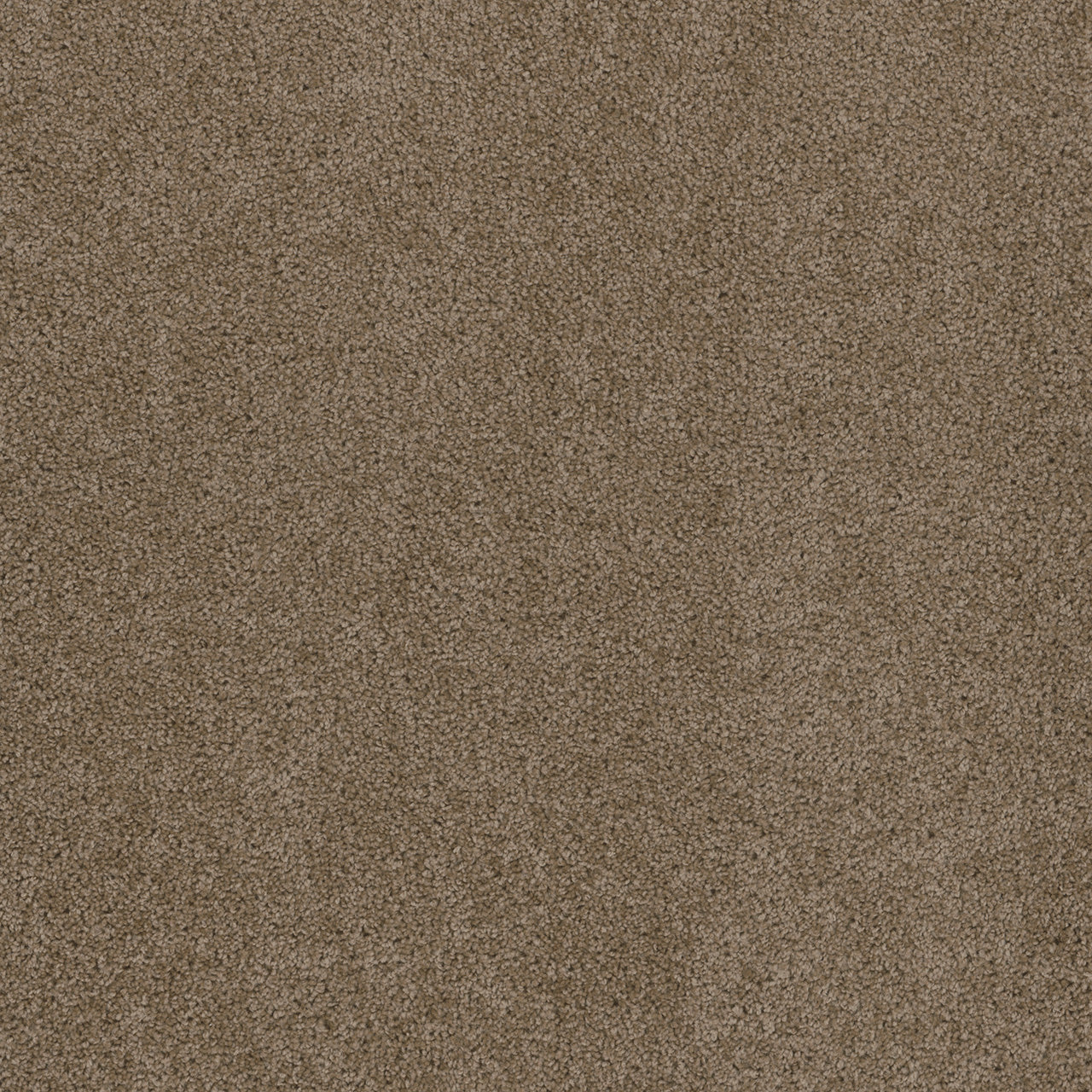 SP250 - Doeskin