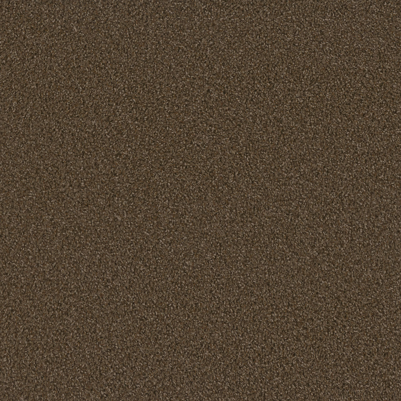 SP250 - Boulder