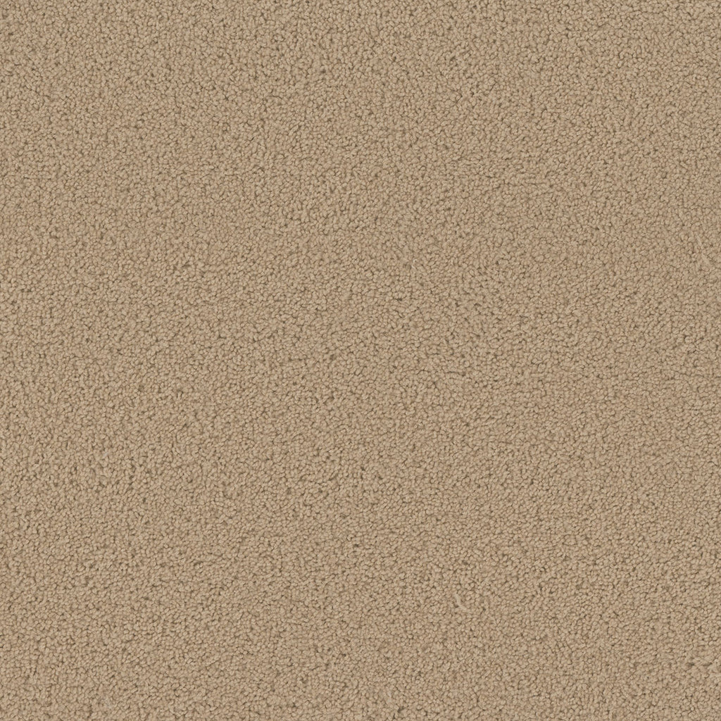 SP250 - Cookie Dough