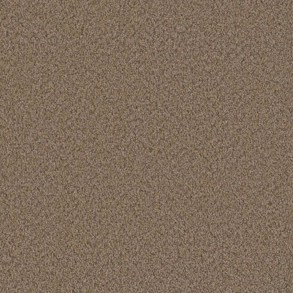 SP250 - Claystone