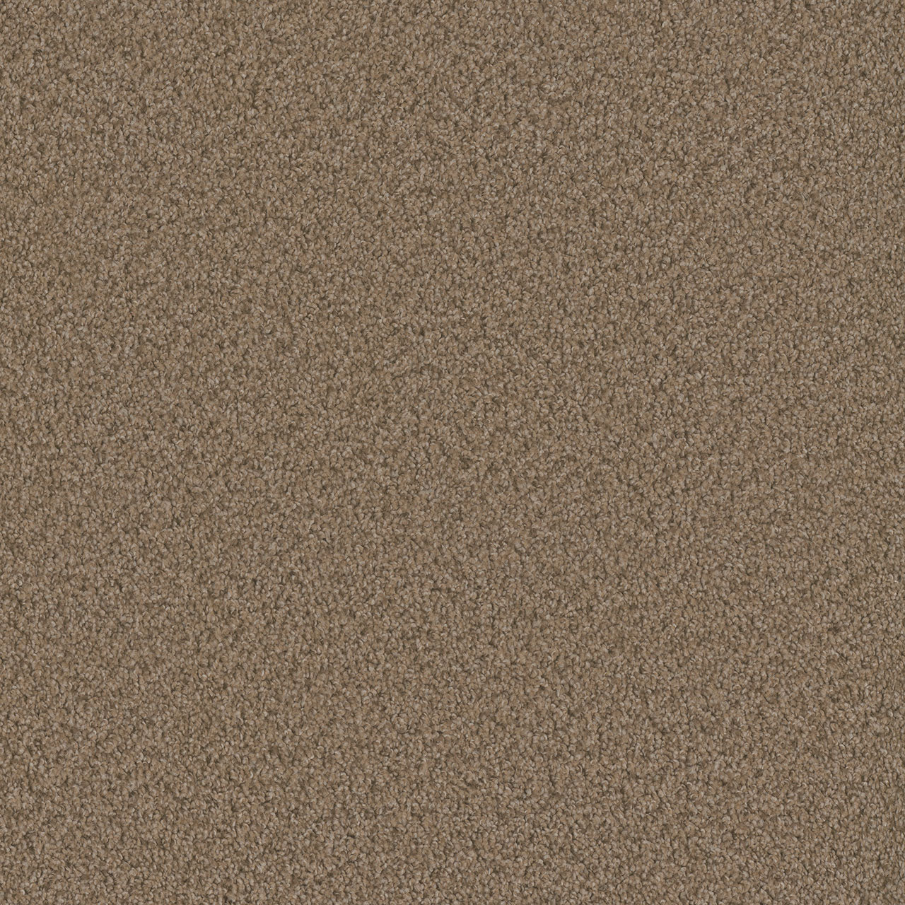 SP250 - Claystone