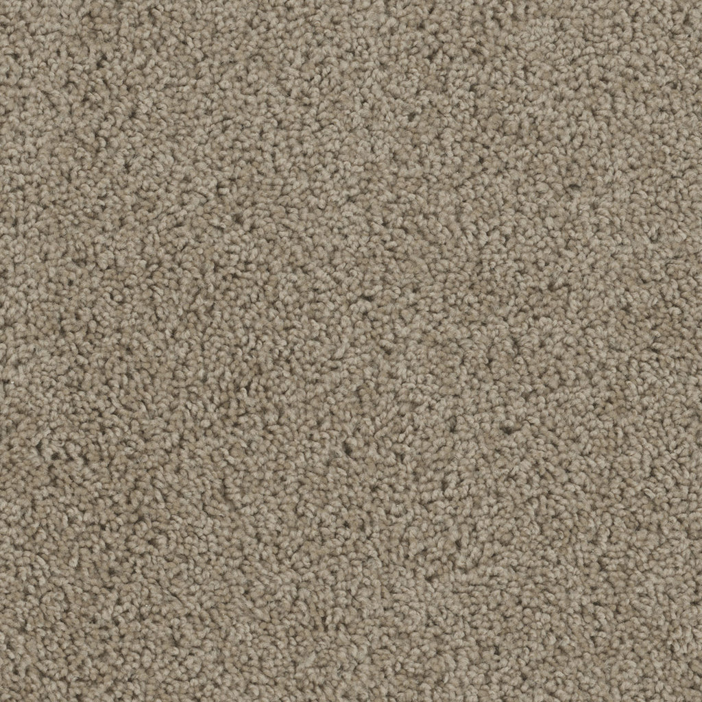 SP250 - Sandstone