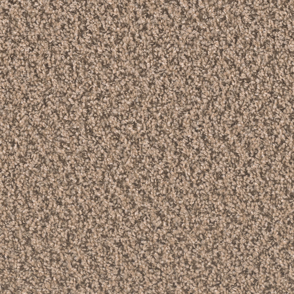 SP250 - Fossil