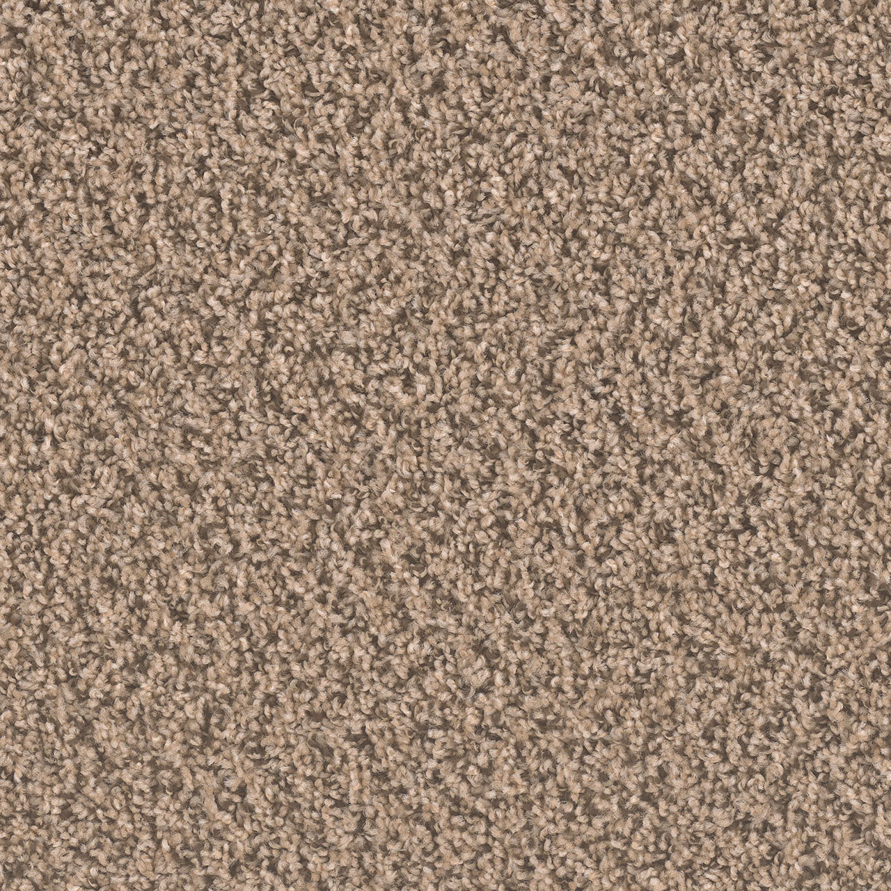 SP250 - Fossil